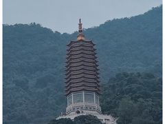 -深圳仙湖植物园