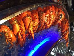 贵宾楼饭店红墙咖啡厅-北京贵宾楼饭店 红墙咖啡厅