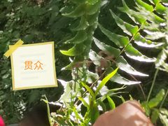-南京老山国家森林公园
