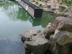 -白马涧龙池景区