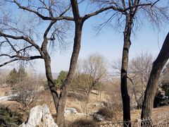 -北京西山国家森林公园