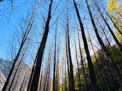 -百里山水画廊