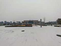 -农夫大盘鸡(经八路总店)