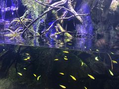 -西安华夏文旅水世界