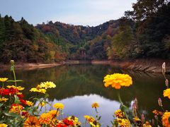 -千岛湖龙川湾