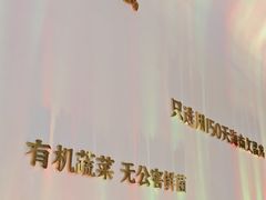 -烹然四季椰子鸡火锅(姚家园万象汇店)