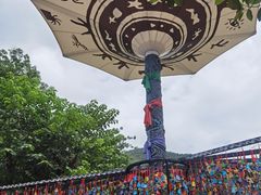 -西双版纳原始森林公园