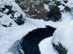 -龙苍沟森林公园