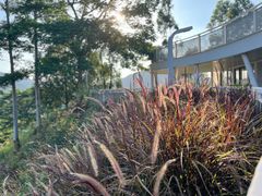 -白石龙音乐公园
