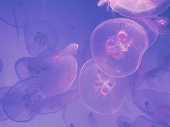 -沈阳海洋探索中心