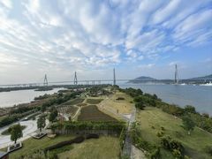 -芒洲湿地公园