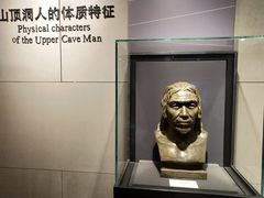 -北京周口店北京人遗址博物馆