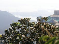 -东部华侨城