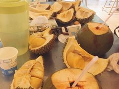 -都念榴莲·城市榴莲