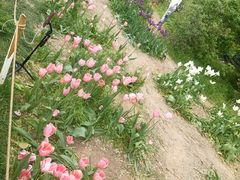 -沈阳植物园