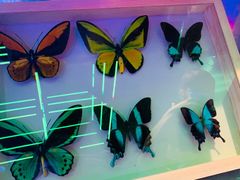 -凯德广场(武胜路店)