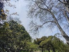 -无锡梅园公园