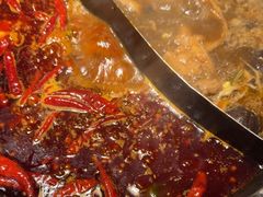 -蜀大侠火锅(总府路店)