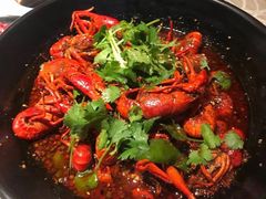 十八香小龙虾-红辣椒(安信商业广场店)