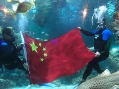 -杭州海底世界