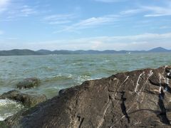 -上海市保健医疗中心(华东疗养院)