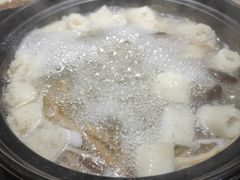 -探窝·竹笙椰子鸡(杨箕店)