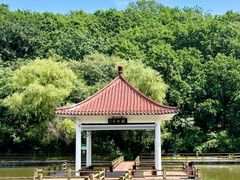 -吉林市朱雀山国家森林公园