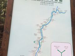 -花岩国家森林公园