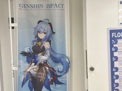 -秋叶原电器街