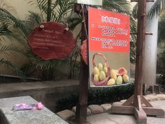 -仁爱团泊湖温泉中心