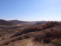 -塞罕坝国家级自然保护区