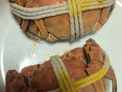 -阳澄湖大闸蟹·琼灵阁牌品牌连锁(吴中总店)