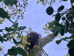 -汉长安城未央宫国家考古遗址公园