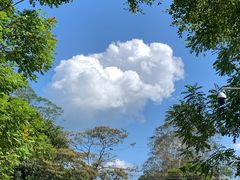 -广州白江湖森林公园