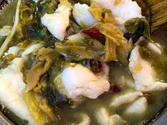 -周鱼小馆石锅酸菜鱼(活力汇店)