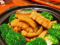 -圣丰盛宴酒家(东城店)