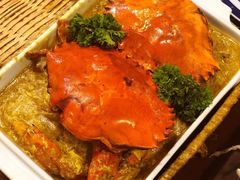-茉莉.Red Crab