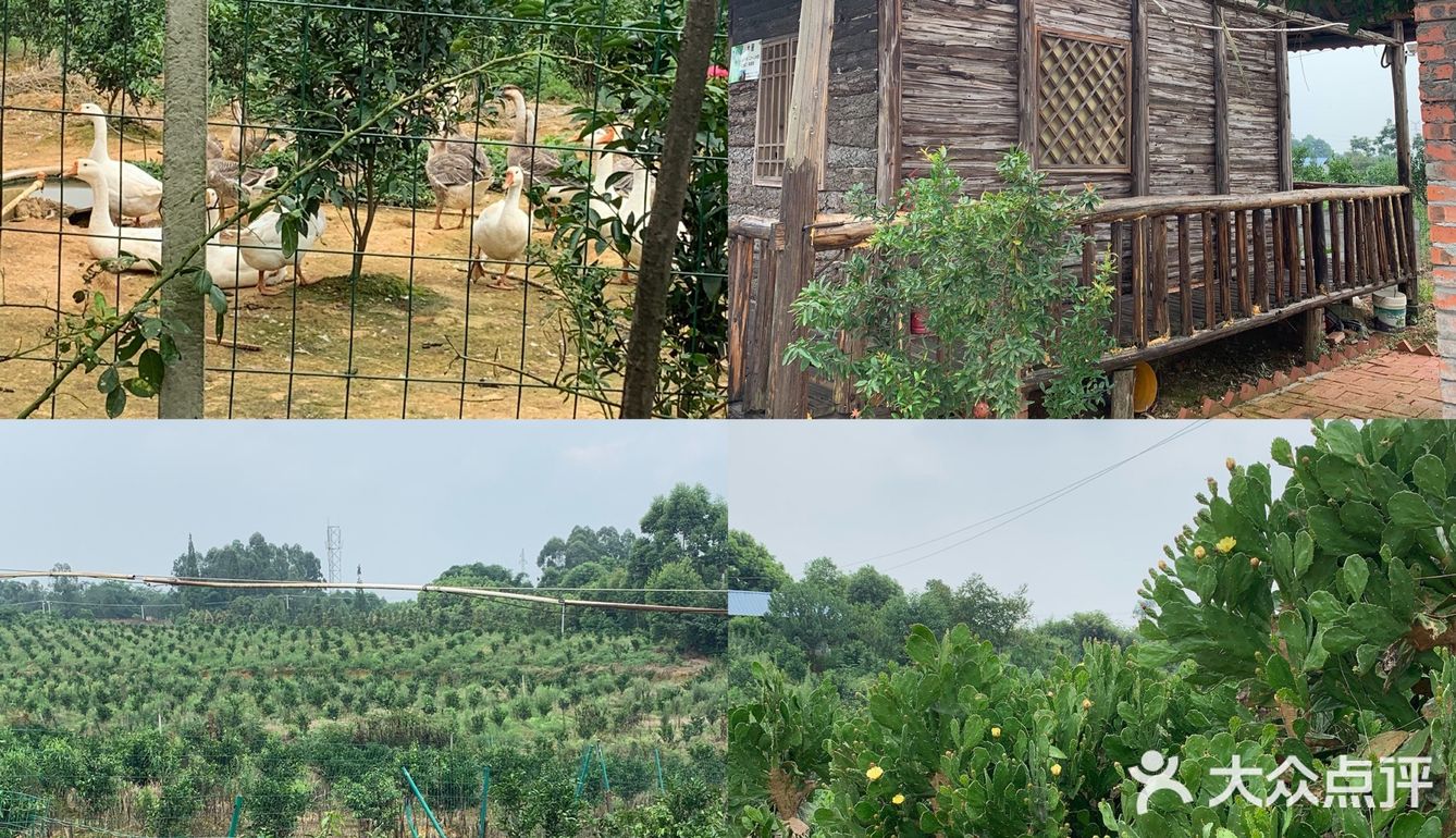 眉山探店｜九芳-乐山周边的宝藏农场👨🏻‍🌾 