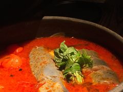 酸汤鱼-毛辣果·酸