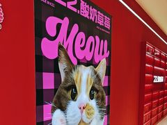 -K22.酸奶草莓(长春上海路万达店)