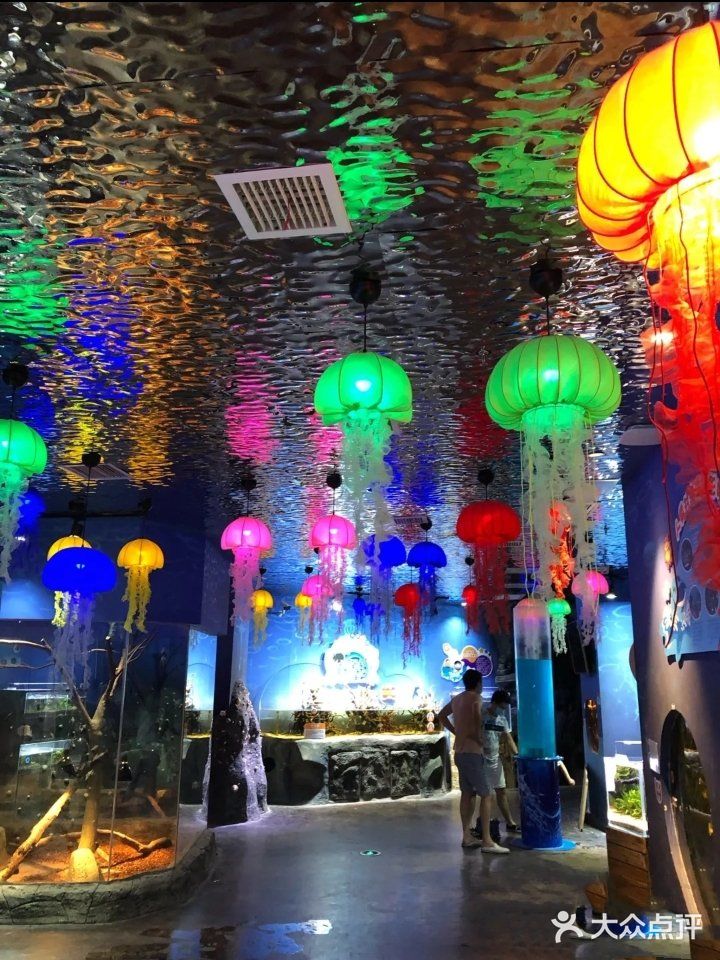 超萌态的动物乐园[糖果]