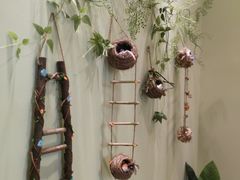 -藏猫猫咖啡主题馆(中央大道店)