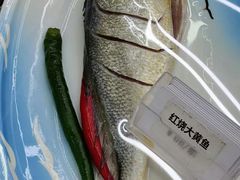 -大众海鲜(巨龙北路店)