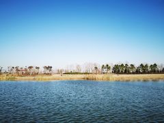 -春花秋色城市公园