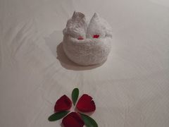 -厦门悦华酒店