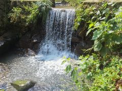 -藏龙百瀑风景区