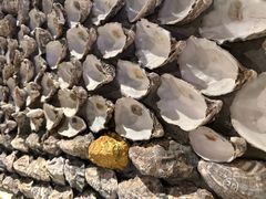 -普朗姆生蚝牛排馆 The Plump Oyster(成都摩方购物中心店)