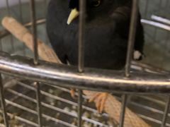 -伊隆斋(什刹海店)