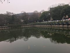 -武汉大学-樱园