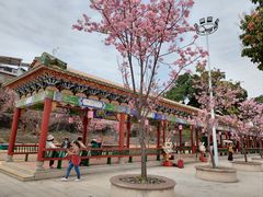-宝墨园景区